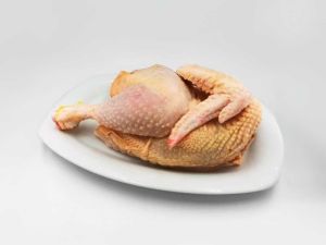 Volaille Bio poulet Demi poulet